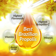 Brazilian Green Propolis Extract - WeilWell