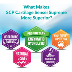 SCP Cartilage Sensei Supreme